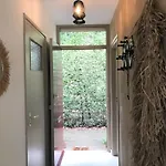 The Forest