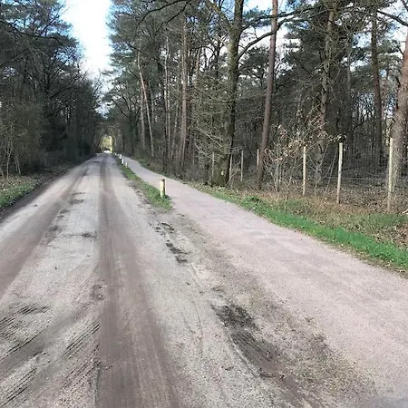 Апартаменты The Forest