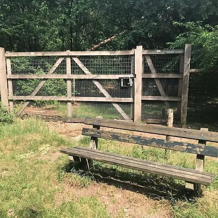 Апартаменты The Forest