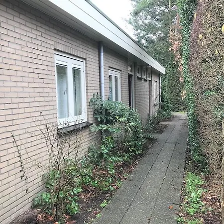 The Forest * Otterlo