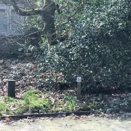 The Forest * Otterlo