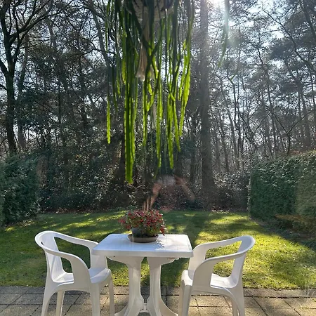 Apartmán The Forest Otterlo