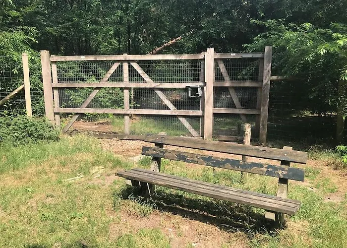 Apartmán The Forest