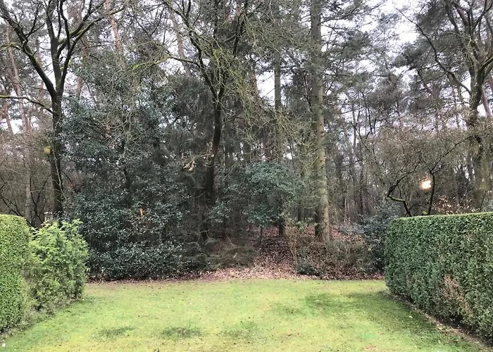 The Forest Apartmán *