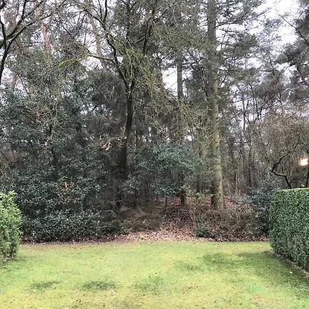 The Forest Apartment *