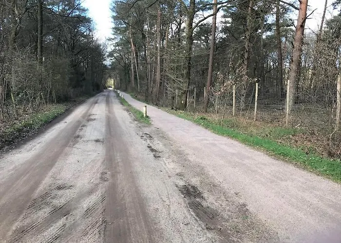 Lägenhet The Forest