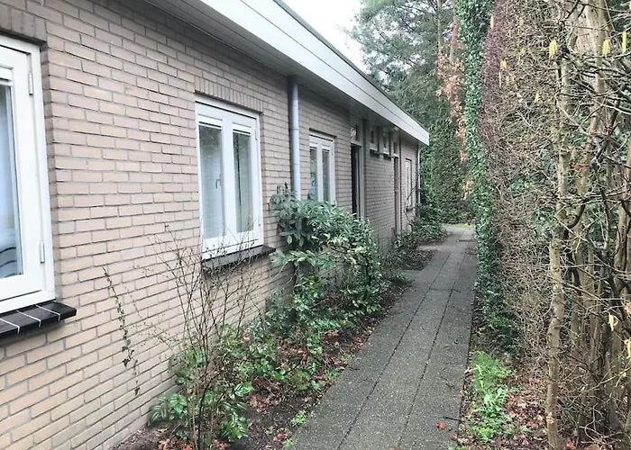 The Forest * Otterlo