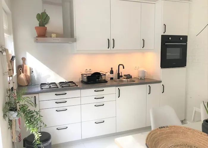 The Forest * Otterlo